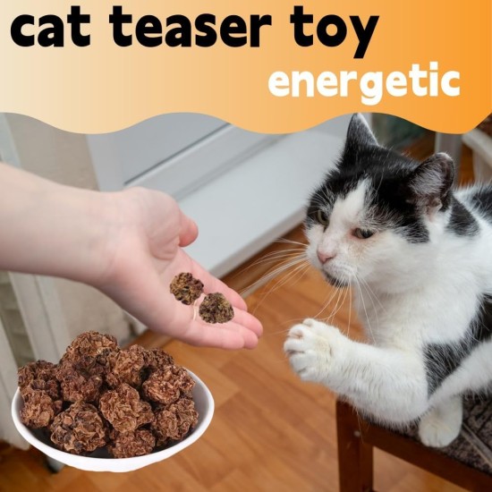 ZDL Fruits as Cat Toy for Cats, 20 Pieces Matatabi Fruit Toy for Cats, Toy for Cats, Teeth Cleaning Dental Edible Kitten Toy Cats Teeth Cleaning ZDL Fruits as Cat Toy for Cats, 20 Pieces Matatabi Fruit Toy for Cats, Toy for Cats, Teeth Cleaning Dental Edible Kitten Toy Cats Teeth Cleaning