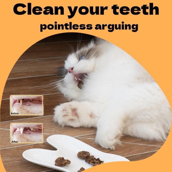 ZDL Fruits as Cat Toy for Cats, 20 Pieces Matatabi Fruit Toy for Cats, Toy for Cats, Teeth Cleaning Dental Edible Kitten Toy Cats Teeth Cleaning ZDL Fruits as Cat Toy for Cats, 20 Pieces Matatabi Fruit Toy for Cats, Toy for Cats, Teeth Cleaning Dental Edible Kitten Toy Cats Teeth Cleaning