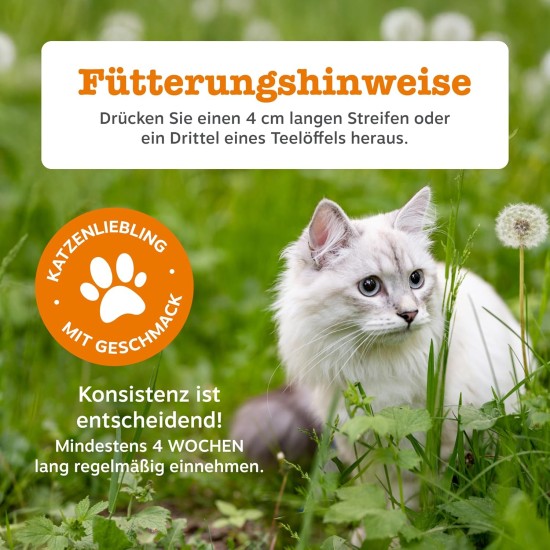 Zesty Paws Digestive & Prebiotic Paste for Cats | Intestinal Health | Digestion | Immune Strengthening | Algae Oil | OmegaVie | Postbiotics | Inulin | L-Theanine | Vitamins C & E | Real Fish Flavour | Zesty Paws Digestive & Prebiotic Paste for Cats | Intestinal Health | Digestion | Immune Strengthening | Algae Oil | OmegaVie | Postbiotics | Inulin | L-Theanine | Vitamins C & E | Real Fish Flavour |