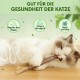 ZexJpr Pack of 12 Catnip Toys, Cat Toy with Catnip, Dental Care Cats and Stick Cat, Cat Toy, Help Cats Oral Hygiene and Dental Care ZexJpr Pack of 12 Catnip Toys, Cat Toy with Catnip, Dental Care Cats and Stick Cat, Cat Toy, Help Cats Oral Hygiene and Dental Care