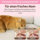 ZexJpr Pack of 12 Catnip Toys, Cat Toy with Catnip, Dental Care Cats and Stick Cat, Cat Toy, Help Cats Oral Hygiene and Dental Care ZexJpr Pack of 12 Catnip Toys, Cat Toy with Catnip, Dental Care Cats and Stick Cat, Cat Toy, Help Cats Oral Hygiene and Dental Care
