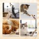 ZexJpr Pack of 12 Catnip Toys, Cat Toy with Catnip, Dental Care Cats and Stick Cat, Cat Toy, Help Cats Oral Hygiene and Dental Care ZexJpr Pack of 12 Catnip Toys, Cat Toy with Catnip, Dental Care Cats and Stick Cat, Cat Toy, Help Cats Oral Hygiene and Dental Care