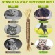ZexJpr Pack of 12 Catnip Toys, Cat Toy with Catnip, Dental Care Cats and Stick Cat, Cat Toy, Help Cats Oral Hygiene and Dental Care ZexJpr Pack of 12 Catnip Toys, Cat Toy with Catnip, Dental Care Cats and Stick Cat, Cat Toy, Help Cats Oral Hygiene and Dental Care