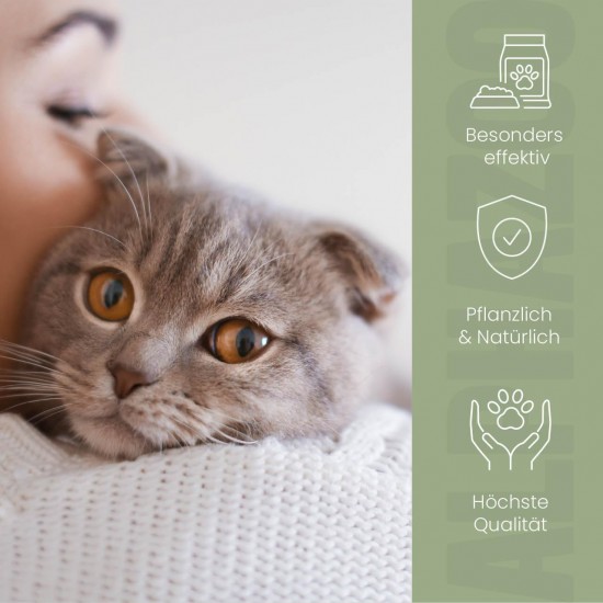 alphazoo Darmonie Liquid für Katzen 100 ml – Mit Leinöl & Omega-3 – Unterstützt Darmflora, Verdauung & Stoffwechsel – Natürliche Hilfe bei Blähungen & Durchfall alphazoo Darmonie Liquid für Katzen 100 ml – Mit Leinöl & Omega-3 – Unterstützt Darmflora, Verdauung & Stoffwechsel – Natürliche Hilfe bei Blähungen & Durchfall
