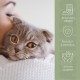 alphazoo Darmonie Liquid für Katzen 100 ml – Mit Leinöl & Omega-3 – Unterstützt Darmflora, Verdauung & Stoffwechsel – Natürliche Hilfe bei Blähungen & Durchfall