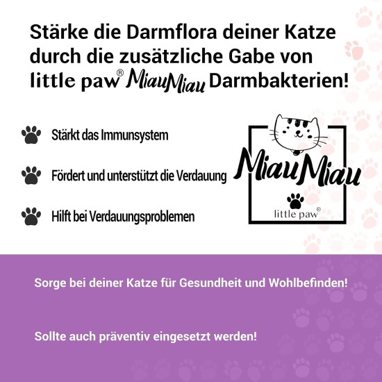 little paw ® "MiauMiau - Intestinal Restoration / Digestive Problems in Cats - for Flatulence, Allergies, Infections, Agitation, Nervousness - Probiotic Microorganisms (Lactobacillus) - 50 ml little paw ® "MiauMiau - Intestinal Restoration / Digestive Problems in Cats - for Flatulence, Allergies, Infections, Agitation, Nervousness - Probiotic Microorganisms (Lactobacillus) - 50 ml