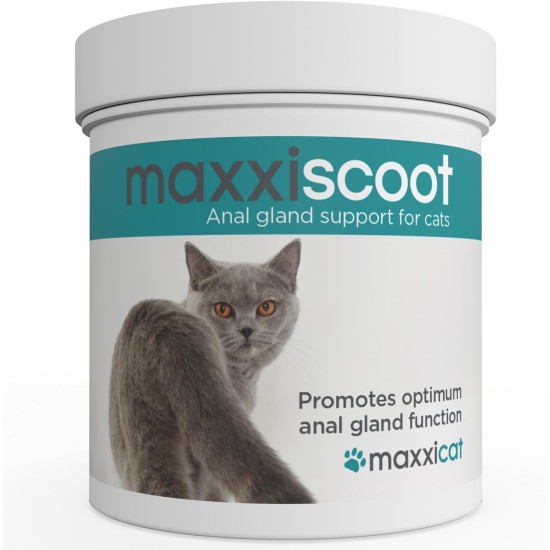 maxxipaws maxxiscoot Gland & Intestinal Health for Cats - Dietary Supplement in Powder Form, 90 g maxxipaws maxxiscoot Gland & Intestinal Health for Cats - Dietary Supplement in Powder Form, 90 g