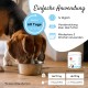 pha Powder for Dogs and Cats; remove plaque and tartar, Dental Protection Plus, 60 g pha Powder for Dogs and Cats; remove plaque and tartar, Dental Protection Plus, 60 g