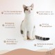 AZANO® Cat Stairs Set of 3 | Climbing Wall Cats | Cat Ladder Wall [Modern Design Made of Metal] | Cat Stairs Wall | Cat Ladder | Cat Furniture for Climbing | S 16 x 12 cm | (Black - Cork)