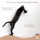 AZANO® Cat Stairs Set of 3 | Climbing Wall Cats | Cat Ladder Wall [Modern Design Made of Metal] | Cat Stairs Wall | Cat Ladder | Cat Furniture for Climbing | S 16 x 12 cm | (Black - Cork)