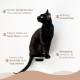 AZANO® Cat Stairs Set of 3 | Climbing Wall Cats | Cat Ladder Wall [Modern Design Made of Metal] | Cat Stairs Wall | Cat Ladder | Cat Furniture for Climbing | S 16 x 12 cm | (Black - Cork)