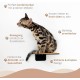 AZANO® Cat Stairs Set of 3 | Climbing Wall Cats | Cat Ladder Wall [Modern Design Made of Metal] | Cat Stairs Wall | Cat Ladder | Cat Furniture for Climbing | S 16 x 12 cm | (Black - Cork)