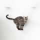 AZANO® Cat Stairs Set of 3 | Climbing Wall Cats | Cat Ladder Wall [Modern Design Made of Metal] | Cat Stairs Wall | Cat Ladder | Cat Furniture for Climbing | S 16 x 12 cm | (Black - Cork)