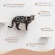 AZANO Cat Stairs Set of 3 Large | [Modern Design Made of Metal] Climbing Wall Cats | Cat Ladder Wall | Cat Stairs Wall | Cat Ladder | Cat Furniture for Climbing (Black - Cork)