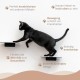 AZANO Cat Stairs Set of 3 Large | [Modern Design Made of Metal] Climbing Wall Cats | Cat Ladder Wall | Cat Stairs Wall | Cat Ladder | Cat Furniture for Climbing (Black - Cork)