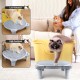 Bartuke Cat Litter Ramp, Cat Stair/Litter Tray Ramp/Cat Catcher Litter Trapper with Filter Function, Easy to Clean, Cat Litter Tray Step Ideal for Kittens and Older Cats Bartuke Cat Litter Ramp, Cat Stair/Litter Tray Ramp/Cat Catcher Litter Trapper with Filter Function, Easy to Clean, Cat Litter Tray Step Ideal for Kittens and Older Cats