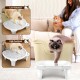 Bartuke Cat Litter Ramp, Cat Stair/Litter Tray Ramp/Cat Catcher Litter Trapper with Filter Function, Easy to Clean, Cat Litter Tray Step Ideal for Kittens and Older Cats Bartuke Cat Litter Ramp, Cat Stair/Litter Tray Ramp/Cat Catcher Litter Trapper with Filter Function, Easy to Clean, Cat Litter Tray Step Ideal for Kittens and Older Cats