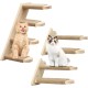Climbing Wall Cats, Cat Stairs Wall, Cat Stairs with Natural Jute for the Wall, for Cat, Climbing, Play, Lounging Climbing Wall Cats, Cat Stairs Wall, Cat Stairs with Natural Jute for the Wall, for Cat, Climbing, Play, Lounging