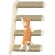 DEMON KILLER Cat Stairs Steps Set of 4 Cat Stairs Extension Climbing Wall for Wall Cat Furniture Handmade Animal Furniture Wooden Step Space-Saving Climbing Aid DEMON KILLER Cat Stairs Steps Set of 4 Cat Stairs Extension Climbing Wall for Wall Cat Furniture Handmade Animal Furniture Wooden Step Space-Saving Climbing Aid