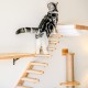 FUKUMARU Climbing Wall for Cats, Cat Stairs, Wall Lounger, Made of Solid Rubber Wood, for Cats up to 15 kg, with Jute Rope for Scratching From Left to Right FUKUMARU Climbing Wall for Cats, Cat Stairs, Wall Lounger, Made of Solid Rubber Wood, for Cats up to 15 kg, with Jute Rope for Scratching From Left to Right