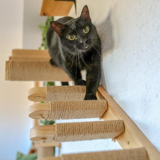 HOME FOOTPRINT - Climbing Wall Cats - Cat Stairs Wall - Climbing Cat Ladder - Cat Climbing Wall Set - Cat Climbing Wall - Cat Climbing Wall (Stairs) HOME FOOTPRINT - Climbing Wall Cats - Cat Stairs Wall - Climbing Cat Ladder - Cat Climbing Wall Set - Cat Climbing Wall - Cat Climbing Wall (Stairs)