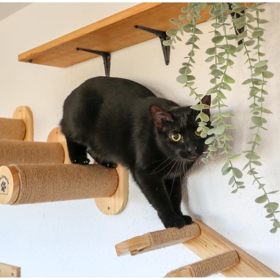 HOME FOOTPRINT - Climbing Wall Cats - Cat Stairs Wall - Climbing Cat Ladder - Cat Climbing Wall Set - Cat Climbing Wall - Cat Climbing Wall (Stairs) HOME FOOTPRINT - Climbing Wall Cats - Cat Stairs Wall - Climbing Cat Ladder - Cat Climbing Wall Set - Cat Climbing Wall - Cat Climbing Wall (Stairs)