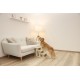 Kerbl Pet Easy Climb 2.0 Pet Stairs 45 x 35 x 34 cm, up to 50 kg Kerbl Pet Easy Climb 2.0 Pet Stairs 45 x 35 x 34 cm, up to 50 kg