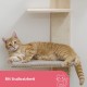 Kerbl Timber 80916 Cat Ladder (Natural Colour L x W 38 x 16.5 cm, Maximum Load 6 kg, with Natural Jute for Wall Mounting, Can be Mounted on Both Sides, Cat Toy, Animal Accessories)
