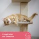 Kerbl Timber 80916 Cat Ladder (Natural Colour L x W 38 x 16.5 cm, Maximum Load 6 kg, with Natural Jute for Wall Mounting, Can be Mounted on Both Sides, Cat Toy, Animal Accessories)