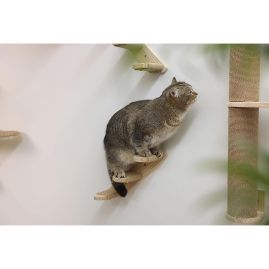 Kerbl Timber 80916 Cat Ladder (Natural Colour L x W 38 x 16.5 cm, Maximum Load 6 kg, with Natural Jute for Wall Mounting, Can be Mounted on Both Sides, Cat Toy, Animal Accessories) Kerbl Timber 80916 Cat Ladder (Natural Colour L x W 38 x 16.5 cm, Maximum Load 6 kg, with Natural Jute for Wall Mounting, Can be Mounted on Both Sides, Cat Toy, Animal Accessories)