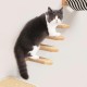 Lectorias Cat Stairs 4 Steps, Cat Ladder with Jute Rope, Cat Stairs Wall, Cat Boards for the Wall, Cat Stairs, Cat Stairs Climbing Wall Cat for Cat Climbing Play (Can Carry 20 kg) Lectorias Cat Stairs 4 Steps, Cat Ladder with Jute Rope, Cat Stairs Wall, Cat Boards for the Wall, Cat Stairs, Cat Stairs Climbing Wall Cat for Cat Climbing Play (Can Carry 20 kg)