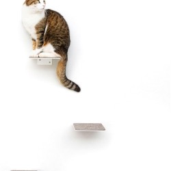 LucyBalu® Steps Cat Stairs Wall Indoor and Outdoor Set of 3 Cat Climbing Wall Park for Cats up to 7 kg Cat Ladder Non-Slip Coating 3 Steps Wall Mounting 18 x 18 cm White LucyBalu® Steps Cat Stairs Wall Indoor and Outdoor Set of 3 Cat Climbing Wall Park for Cats up to 7 kg Cat Ladder Non-Slip Coating 3 Steps Wall Mounting 18 x 18 cm White