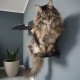 LucyBalu® Steps Cat Stairs Wall Indoor and Outdoor Set of 3 Cat Climbing Wall Park for Cats up to 7 kg Cat Ladder Non-Slip Coating 3 Steps Wall Mounting 18 x 18 cm White LucyBalu® Steps Cat Stairs Wall Indoor and Outdoor Set of 3 Cat Climbing Wall Park for Cats up to 7 kg Cat Ladder Non-Slip Coating 3 Steps Wall Mounting 18 x 18 cm White
