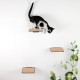 LucyBalu® Steps Cat Stairs Wall Indoor and Outdoor Set of 3 Cat Climbing Wall Park for Cats up to 7 kg Cat Ladder Non-Slip Coating 3 Steps Wall Mounting 18 x 18 cm White LucyBalu® Steps Cat Stairs Wall Indoor and Outdoor Set of 3 Cat Climbing Wall Park for Cats up to 7 kg Cat Ladder Non-Slip Coating 3 Steps Wall Mounting 18 x 18 cm White