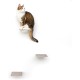 LucyBalu® Steps Cat Stairs Wall Indoor and Outdoor Set of 3 Cat Climbing Wall Park for Cats up to 7 kg Cat Ladder Non-Slip Coating 3 Steps Wall Mounting 18 x 18 cm White LucyBalu® Steps Cat Stairs Wall Indoor and Outdoor Set of 3 Cat Climbing Wall Park for Cats up to 7 kg Cat Ladder Non-Slip Coating 3 Steps Wall Mounting 18 x 18 cm White