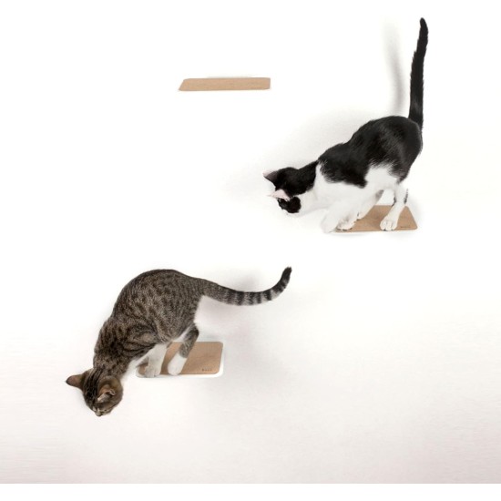 LucyBalu® Steps Cat Stairs Wall Indoor and Outdoor Set of 3 Cat Climbing Wall Park for Cats up to 7 kg Cat Ladder Non-Slip Coating 3 Steps Wall Mounting 18 x 18 cm White LucyBalu® Steps Cat Stairs Wall Indoor and Outdoor Set of 3 Cat Climbing Wall Park for Cats up to 7 kg Cat Ladder Non-Slip Coating 3 Steps Wall Mounting 18 x 18 cm White