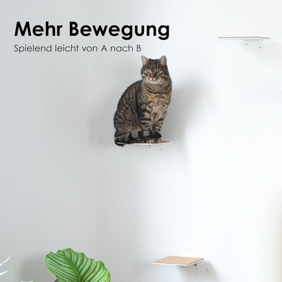 LucyBalu® Steps Cat Stairs Wall Indoor and Outdoor Set of 3 Cat Climbing Wall Park for Cats up to 7 kg Cat Ladder Non-Slip Coating 3 Steps Wall Mounting 18 x 18 cm White LucyBalu® Steps Cat Stairs Wall Indoor and Outdoor Set of 3 Cat Climbing Wall Park for Cats up to 7 kg Cat Ladder Non-Slip Coating 3 Steps Wall Mounting 18 x 18 cm White
