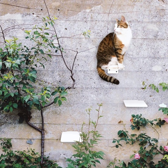 LucyBalu® Steps Cat Stairs Wall Indoor and Outdoor Set of 3 Cat Climbing Wall Park for Cats up to 7 kg Cat Ladder Non-Slip Coating 3 Steps Wall Mounting 18 x 18 cm White LucyBalu® Steps Cat Stairs Wall Indoor and Outdoor Set of 3 Cat Climbing Wall Park for Cats up to 7 kg Cat Ladder Non-Slip Coating 3 Steps Wall Mounting 18 x 18 cm White