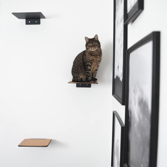 LucyBalu® Steps Cat Stairs Wall Indoor and Outdoor Set of 3 Cat Climbing Wall Park for Cats up to 7 kg Cat Ladder Non-Slip Coating 3 Steps Wall Mounting 18 x 18 cm White LucyBalu® Steps Cat Stairs Wall Indoor and Outdoor Set of 3 Cat Climbing Wall Park for Cats up to 7 kg Cat Ladder Non-Slip Coating 3 Steps Wall Mounting 18 x 18 cm White