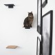 LucyBalu® Steps Cat Stairs Wall Indoor and Outdoor Set of 3 Cat Climbing Wall Park for Cats up to 7 kg Cat Ladder Non-Slip Coating 3 Steps Wall Mounting 18 x 18 cm White LucyBalu® Steps Cat Stairs Wall Indoor and Outdoor Set of 3 Cat Climbing Wall Park for Cats up to 7 kg Cat Ladder Non-Slip Coating 3 Steps Wall Mounting 18 x 18 cm White