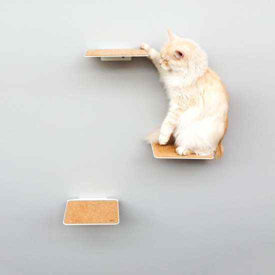 LucyBalu® Steps Cat Stairs Wall Indoor and Outdoor Set of 3 Cat Climbing Wall Park for Cats up to 7 kg Cat Ladder Non-Slip Coating 3 Steps Wall Mounting 18 x 18 cm White LucyBalu® Steps Cat Stairs Wall Indoor and Outdoor Set of 3 Cat Climbing Wall Park for Cats up to 7 kg Cat Ladder Non-Slip Coating 3 Steps Wall Mounting 18 x 18 cm White