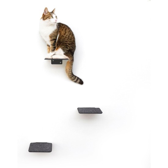 LucyBalu® Steps Cat Stairs Wall Indoor and Outdoor Set of 3 Cat Climbing Wall Park for Cats up to 7 kg Cat Ladder Non-Slip Coating 3 Steps Wall Mounting 18 x 18 cm White LucyBalu® Steps Cat Stairs Wall Indoor and Outdoor Set of 3 Cat Climbing Wall Park for Cats up to 7 kg Cat Ladder Non-Slip Coating 3 Steps Wall Mounting 18 x 18 cm White