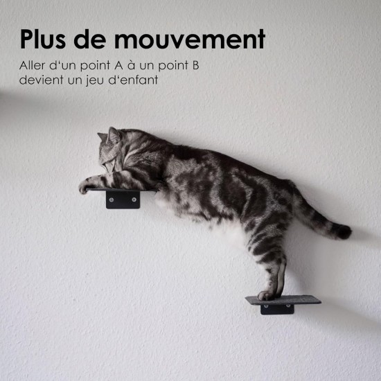 LucyBalu® Steps Cat Stairs Wall Indoor and Outdoor Set of 3 Cat Climbing Wall Park for Cats up to 7 kg Cat Ladder Non-Slip Coating 3 Steps Wall Mounting 18 x 18 cm White LucyBalu® Steps Cat Stairs Wall Indoor and Outdoor Set of 3 Cat Climbing Wall Park for Cats up to 7 kg Cat Ladder Non-Slip Coating 3 Steps Wall Mounting 18 x 18 cm White