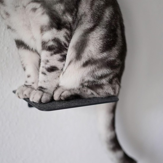 LucyBalu® Steps Cat Stairs Wall Indoor and Outdoor Set of 3 Cat Climbing Wall Park for Cats up to 7 kg Cat Ladder Non-Slip Coating 3 Steps Wall Mounting 18 x 18 cm White LucyBalu® Steps Cat Stairs Wall Indoor and Outdoor Set of 3 Cat Climbing Wall Park for Cats up to 7 kg Cat Ladder Non-Slip Coating 3 Steps Wall Mounting 18 x 18 cm White