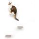 LucyBalu® Steps XL Cat Stairs Wall Indoor and Outdoor Set of 3 Cat Climbing Wall Park for Cats up to 10 kg Cat Ladder Non-Slip Coating 3 Steps Wall Mount 24 x 20 cm White