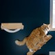 Relaxdays Cat Stairs, Wall, Cat Ladder, 4 Steps, HBT: Approx. 29 x 34 x 22.5 cm, Accessories for Climbing Wall, Wood and Jute, Natural Relaxdays Cat Stairs, Wall, Cat Ladder, 4 Steps, HBT: Approx. 29 x 34 x 22.5 cm, Accessories for Climbing Wall, Wood and Jute, Natural