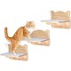 Ricyea Climbing Wall Cat Set, 3 Climbing Levels, Cat Stairs Wall, Cat Furniture Made of Solid Wood for Cats Climbing, Playing, Wall Furniture Cat Wall Shelves up to 35 kg Ricyea Climbing Wall Cat Set, 3 Climbing Levels, Cat Stairs Wall, Cat Furniture Made of Solid Wood for Cats Climbing, Playing, Wall Furniture Cat Wall Shelves up to 35 kg