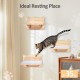 Ricyea Climbing Wall Cat Set, 3 Climbing Levels, Cat Stairs Wall, Cat Furniture Made of Solid Wood for Cats Climbing, Playing, Wall Furniture Cat Wall Shelves up to 35 kg Ricyea Climbing Wall Cat Set, 3 Climbing Levels, Cat Stairs Wall, Cat Furniture Made of Solid Wood for Cats Climbing, Playing, Wall Furniture Cat Wall Shelves up to 35 kg