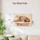 Ricyea Climbing Wall Cat Set, 3 Climbing Levels, Cat Stairs Wall, Cat Furniture Made of Solid Wood for Cats Climbing, Playing, Wall Furniture Cat Wall Shelves up to 35 kg Ricyea Climbing Wall Cat Set, 3 Climbing Levels, Cat Stairs Wall, Cat Furniture Made of Solid Wood for Cats Climbing, Playing, Wall Furniture Cat Wall Shelves up to 35 kg