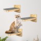 TUAKIMCE Set of 3 Climbing Wall Cats Cat Stairs Cat Stairs Wall Cat Wall Climbing Natural Wood Cat Ladder Cat Wall Parkour for Cats Climbing Wall Set TUAKIMCE Set of 3 Climbing Wall Cats Cat Stairs Cat Stairs Wall Cat Wall Climbing Natural Wood Cat Ladder Cat Wall Parkour for Cats Climbing Wall Set